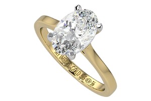 EBEL Discovery Bronze