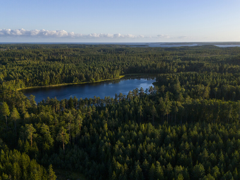 CDP erkent Metsä Board met een drievoudige 'A'-score