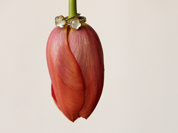 Blush viert twintigjarig jubileum vol ambities